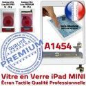 iPad Mini1 A1454 Blanc Réparation Fixation Tactile Home Adhésif Oléophobe Nappe Ecran Bouton Tablette Caméra Verre Monté Vitre Filtre
