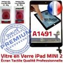 iPad Mini2 A1491 Noir Réparation Ecran Tablette Monté Bouton Oléophobe Verre Tactile Fixation Nappe Adhésif Vitre Caméra Filtre Home